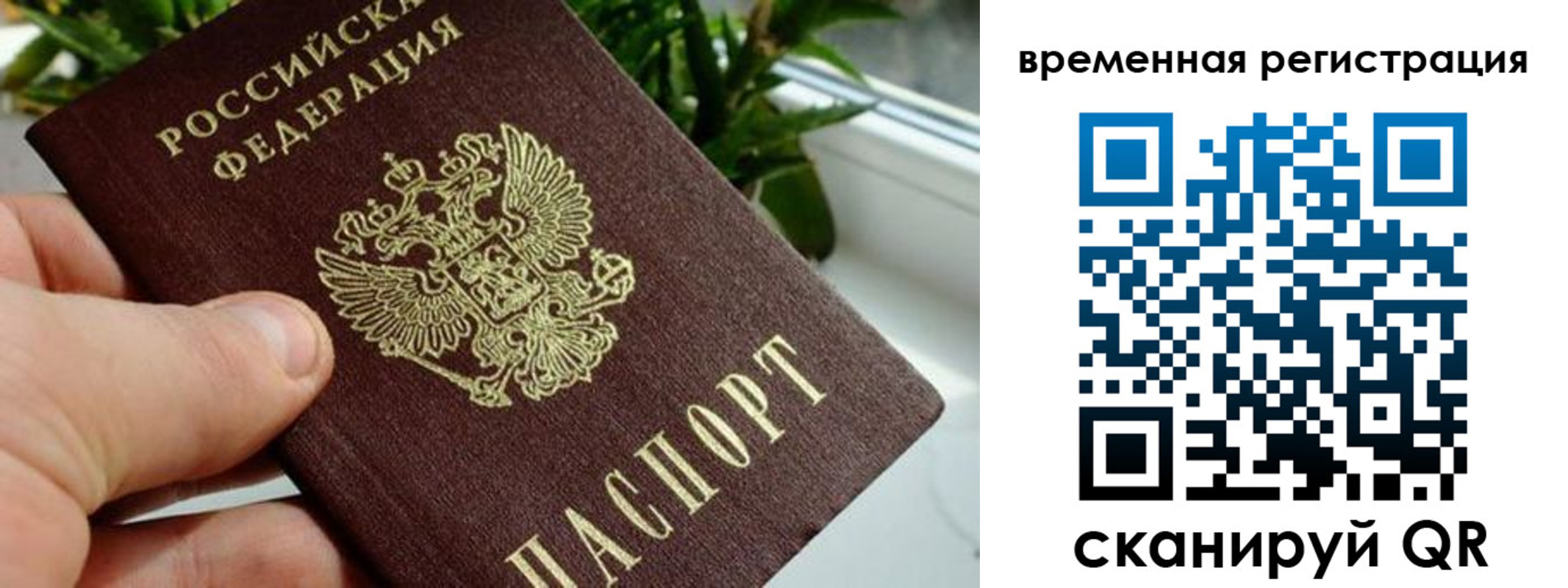 прописка поиск в Нытве